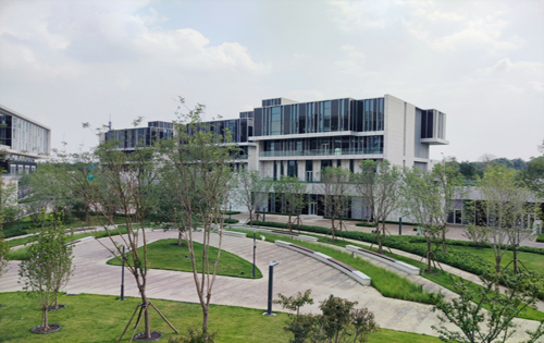 兴创总部公园内景 